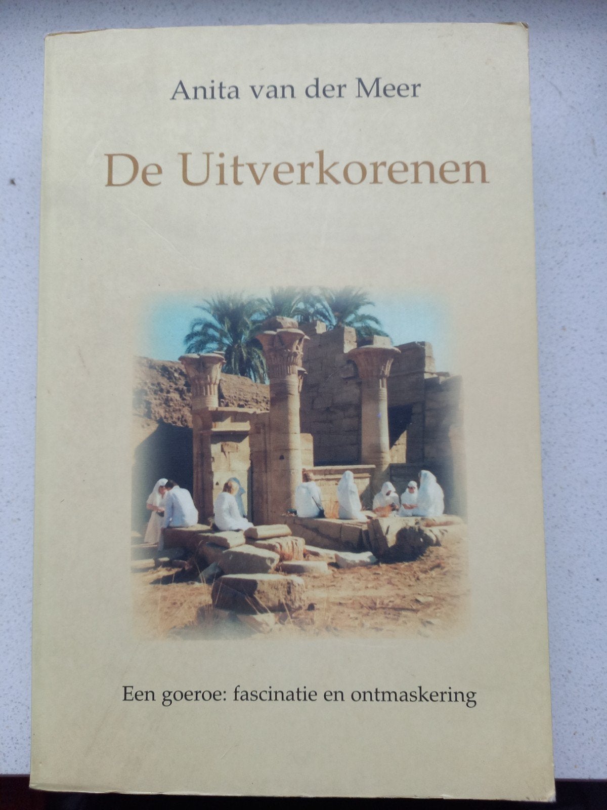 De Uitverkorenen - Anita van der Meer, Boeken, Ophalen of Verzenden