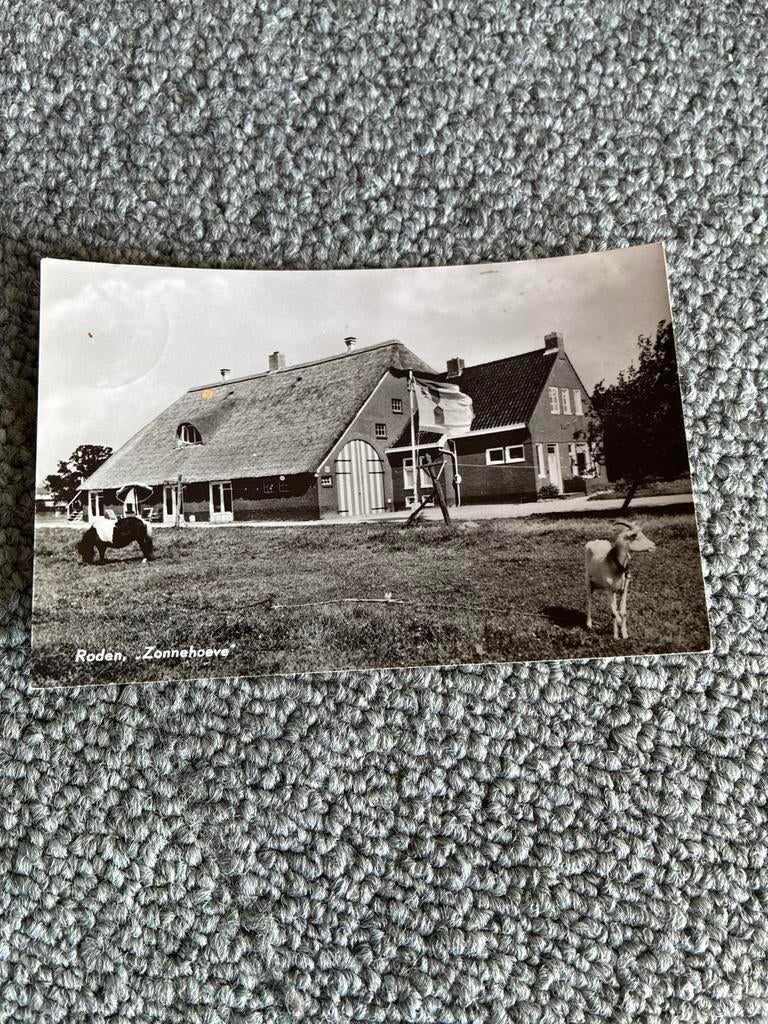 Ansichtkaart Roden, "Zonnehoeve" - Gelopen, Ophalen of Verzenden, 1940 tot 1960, Gelopen, Drenthe