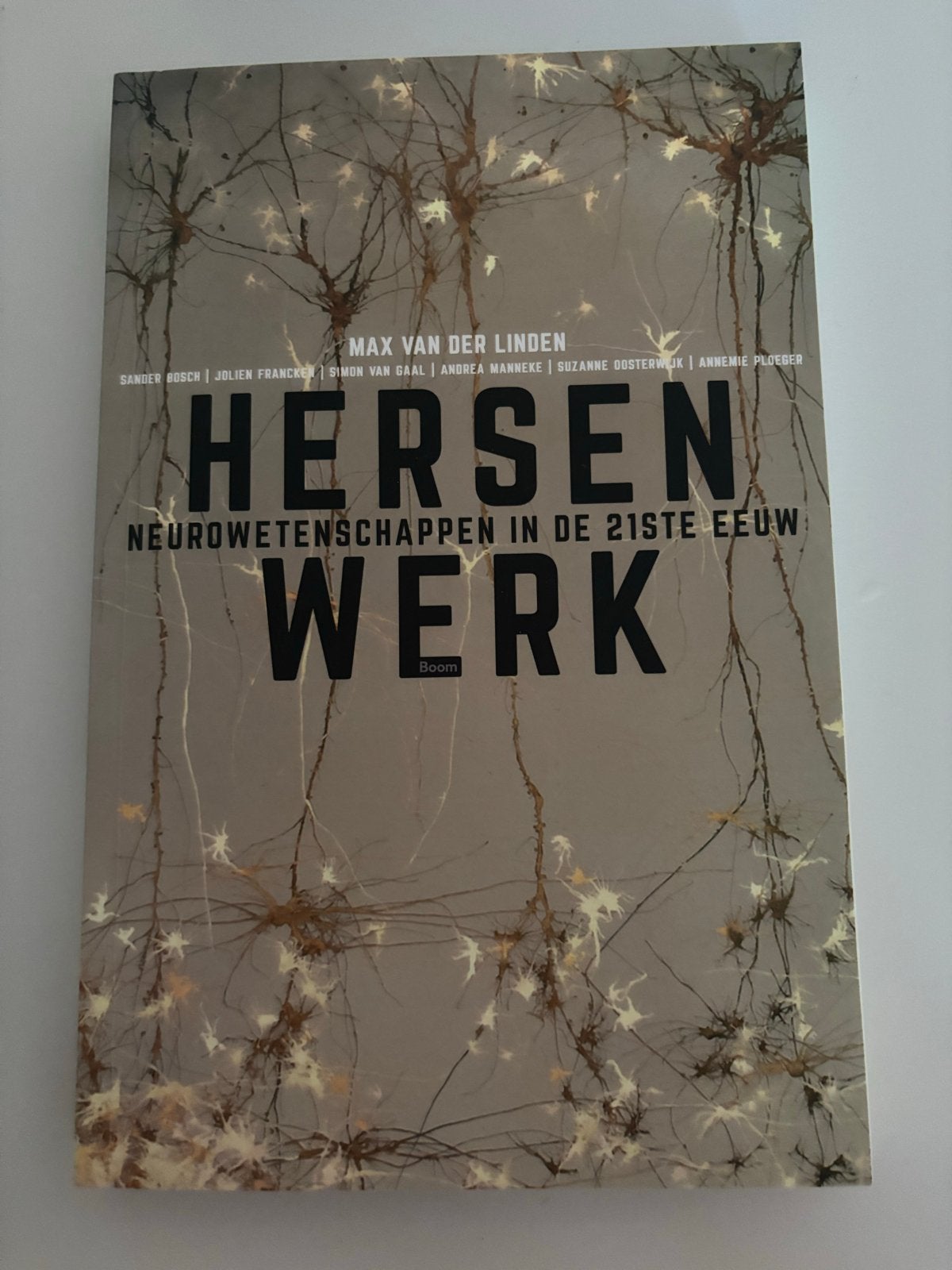 Max van der Linden - Hersenwerk, Nieuw, Ophalen of Verzenden, Ontwikkelingspsychologie, Max van der Linden