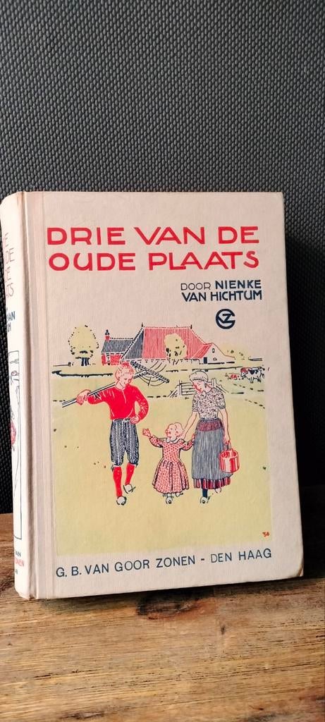 Drie van de oude plaats, Boeken, Ophalen of Verzenden, Gelezen, Nienke van Hichtum, Fictie