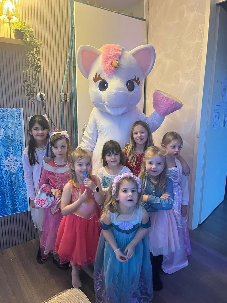 Unicorn mascotte te huur, Ophalen of Verzenden, Zo goed als nieuw, Overige