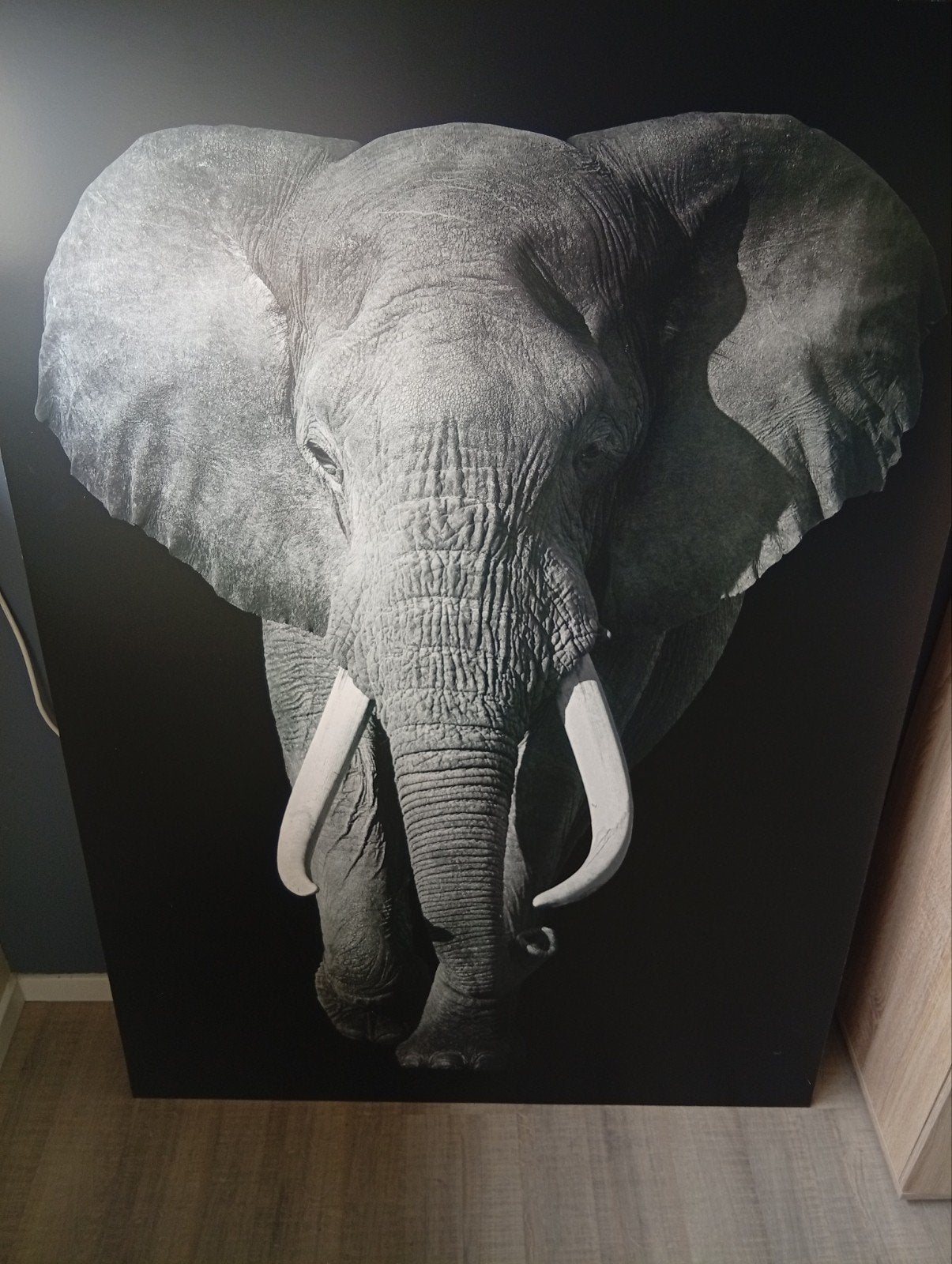 Olifant afbeelding, Ophalen, 125 cm of meer, Schilderij