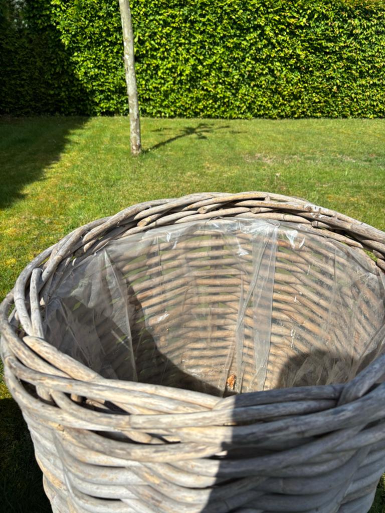 Grote rieten plantenbakken voor buiten, Ophalen, Overige materialen, Gebruikt, 40 cm of meer