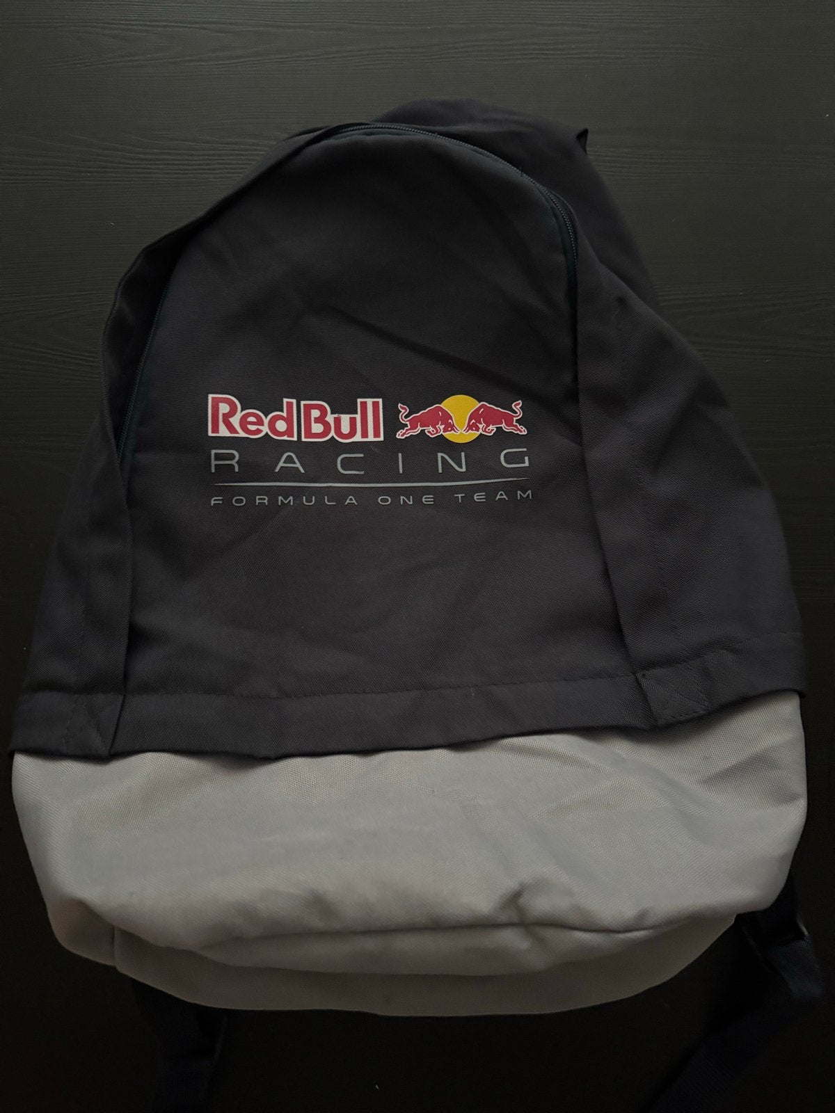 Nette grote Red Bull Racing rugtas rugzak grijs, 25 tot 40 cm, Ophalen of Verzenden, Zo goed als nieuw, Overige merken