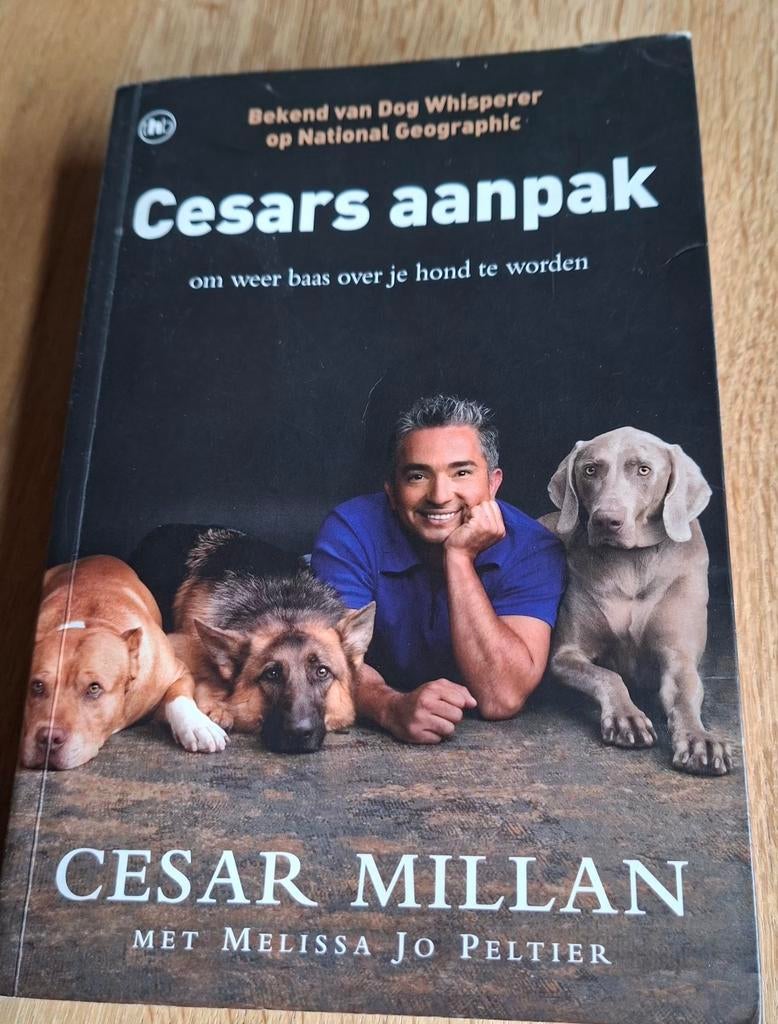 Cesar Millan - Cesars aanpak (goede staat), Boeken, Dieren en Huisdieren, Ophalen of Verzenden, Gelezen, Honden, Cesar Millan
