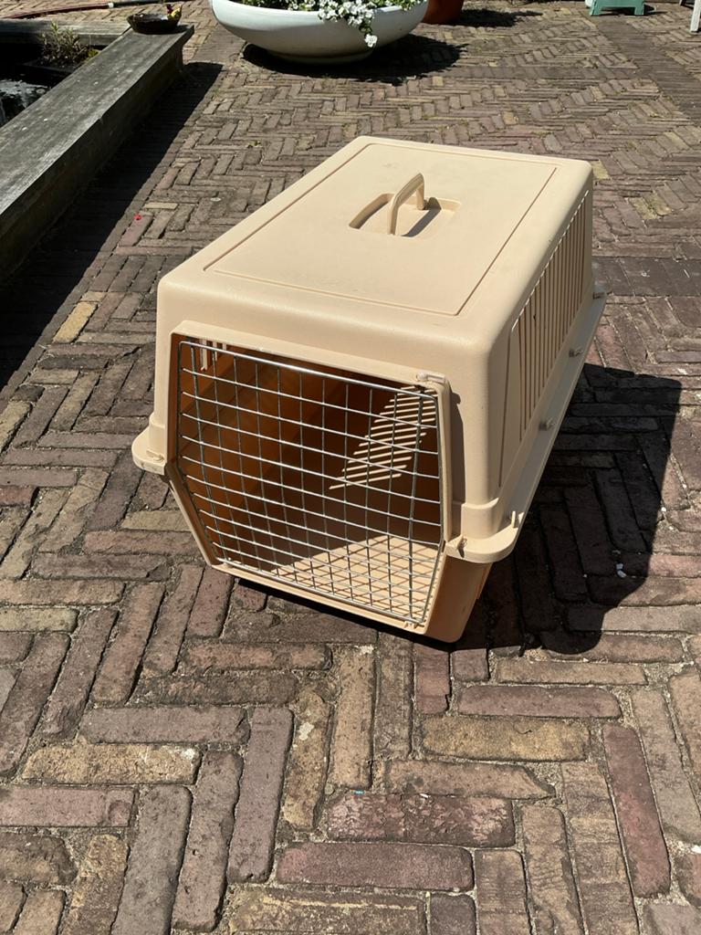 Transport krat honden en katten konijnen, Ophalen, Gebruikt