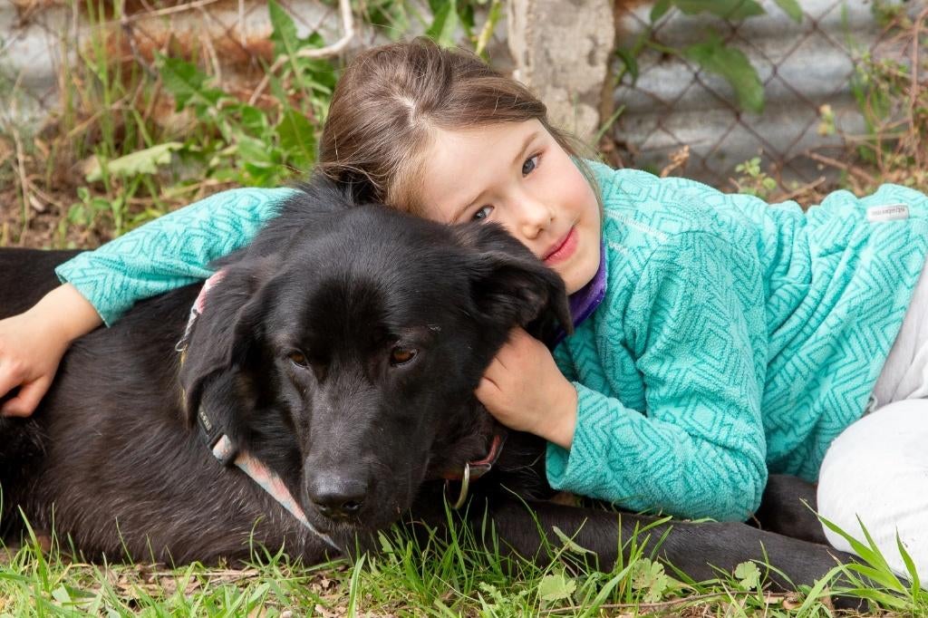 Waar mag deze leuke jonge dame Ziggy komen wonen?, Dieren en Toebehoren, Honden | Niet-rashonden, Particulier, 15 weken tot 1 jaar