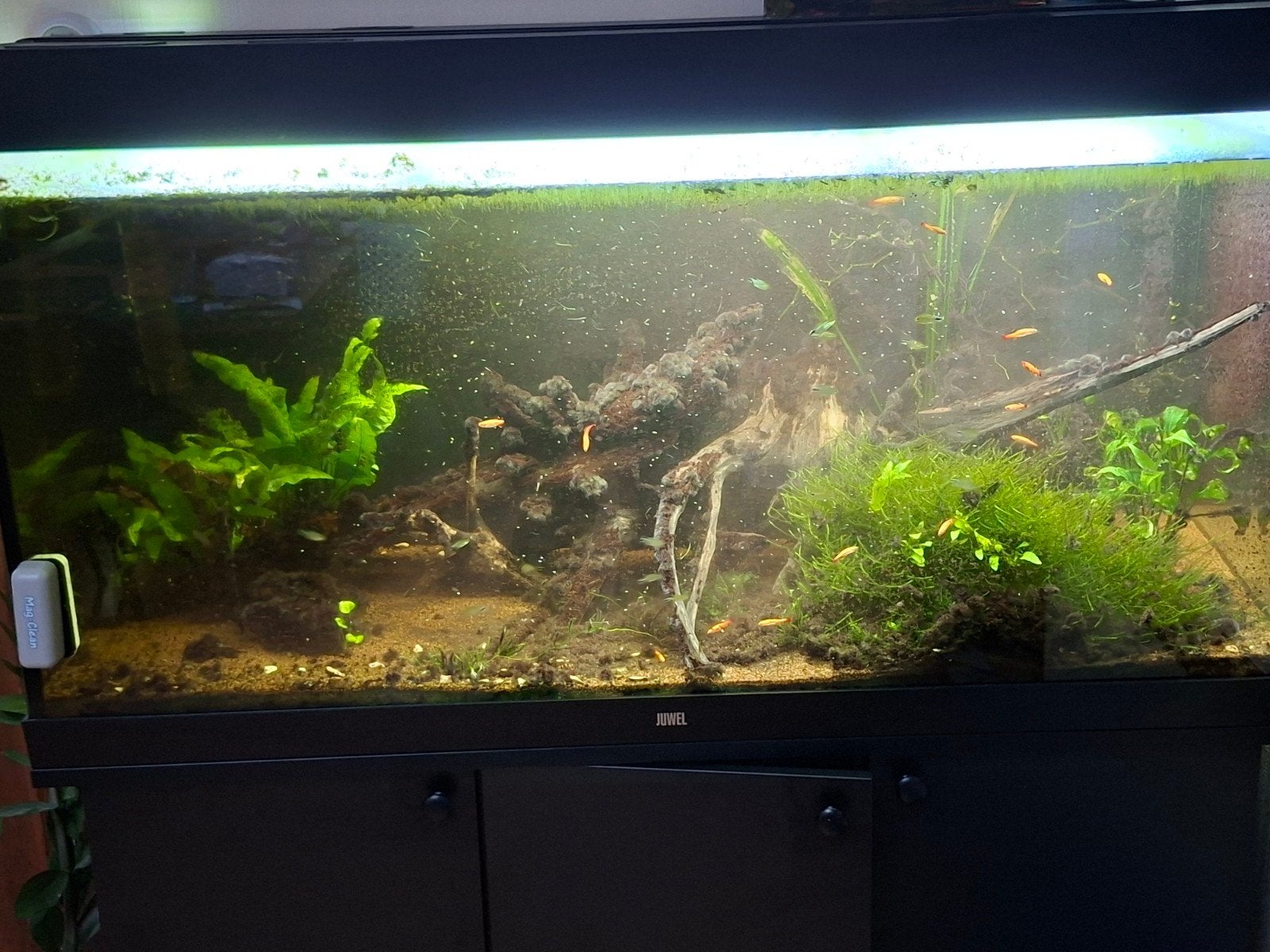 jewel aquarium.  120br x 60hx50diep, Ophalen, Zo goed als nieuw, Gevuld zoetwateraquarium