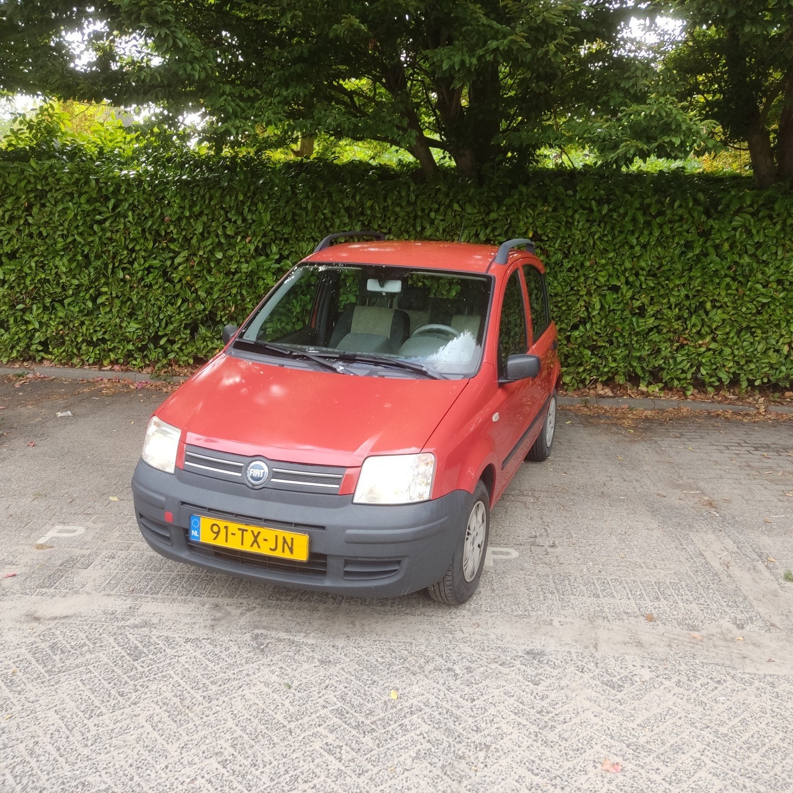 Fiat Panda 1.2 44KW 60PK 2007 Roodachtig, Auto's, Voorwielaandrijving, Stof, Origineel Nederlands, Overige kleuren
