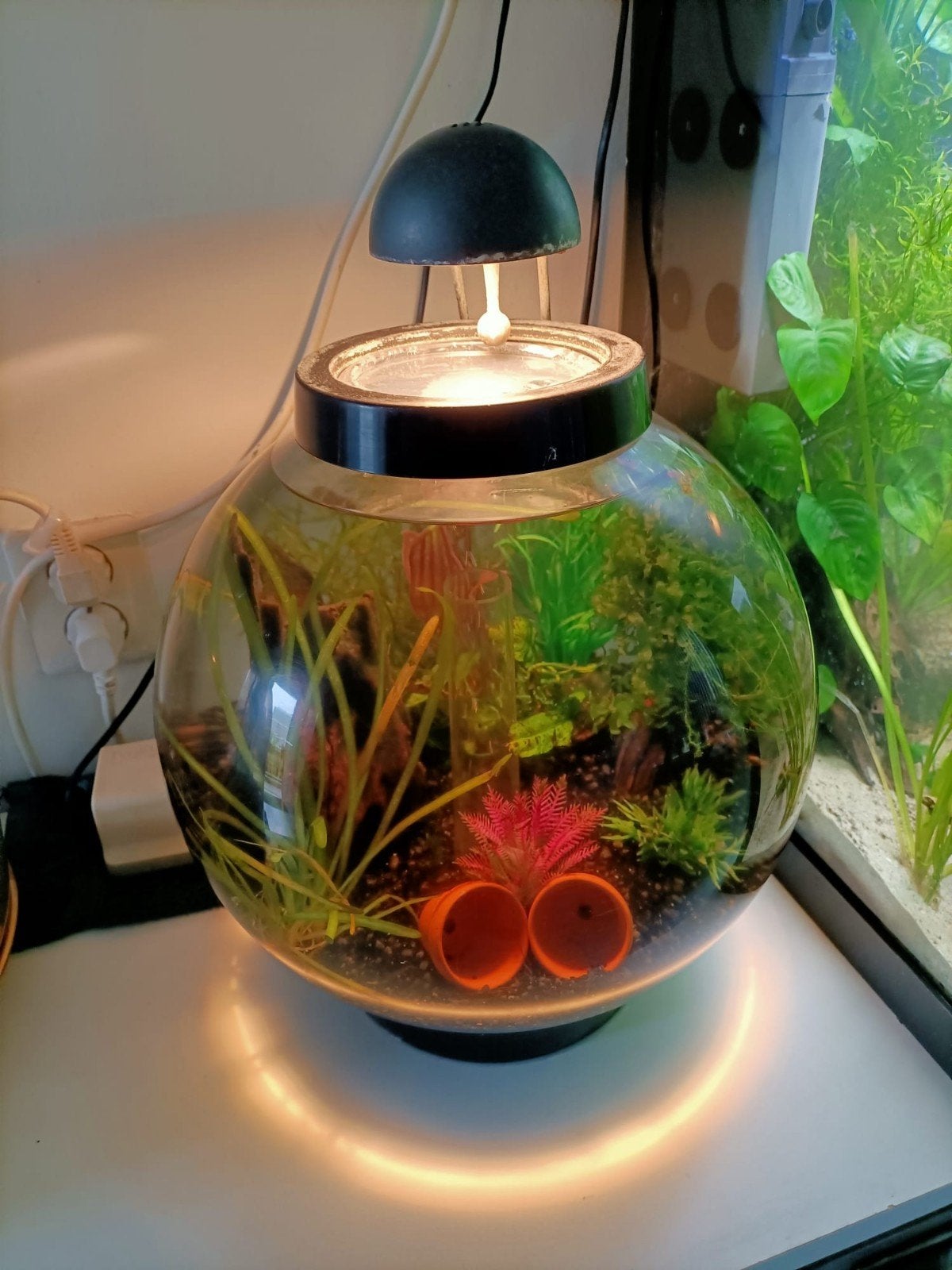 Mooie complete  ronde aquarium ., Ophalen, Zo goed als nieuw