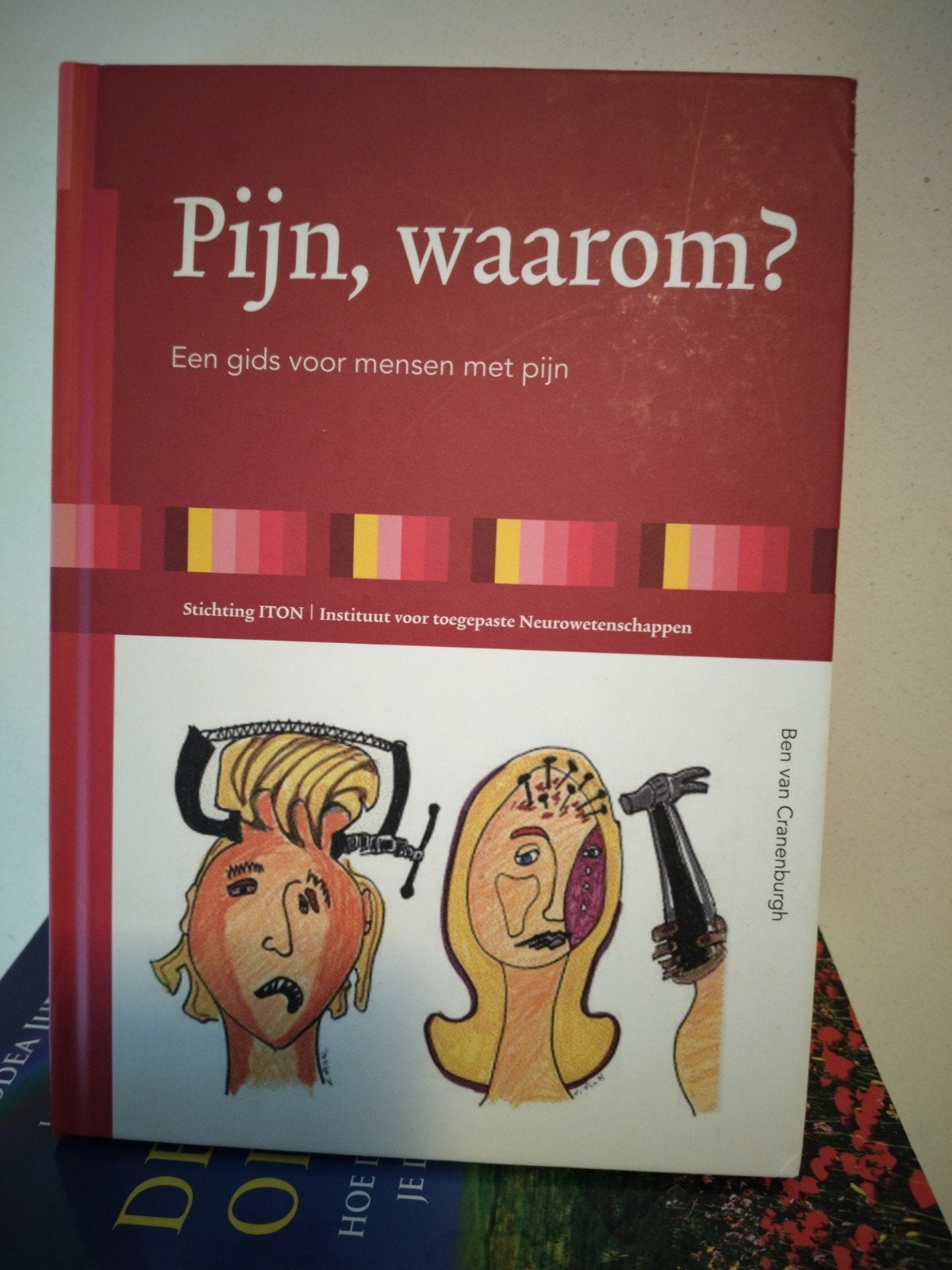 Ben van Cranenburgh - Pijn, waarom?, Ophalen of Verzenden, Zo goed als nieuw, Ben van Cranenburgh, Sociale wetenschap