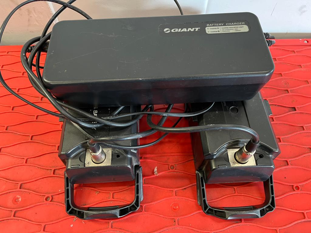 Accu & oplader E-Bike, Ophalen of Verzenden, Gebruikt