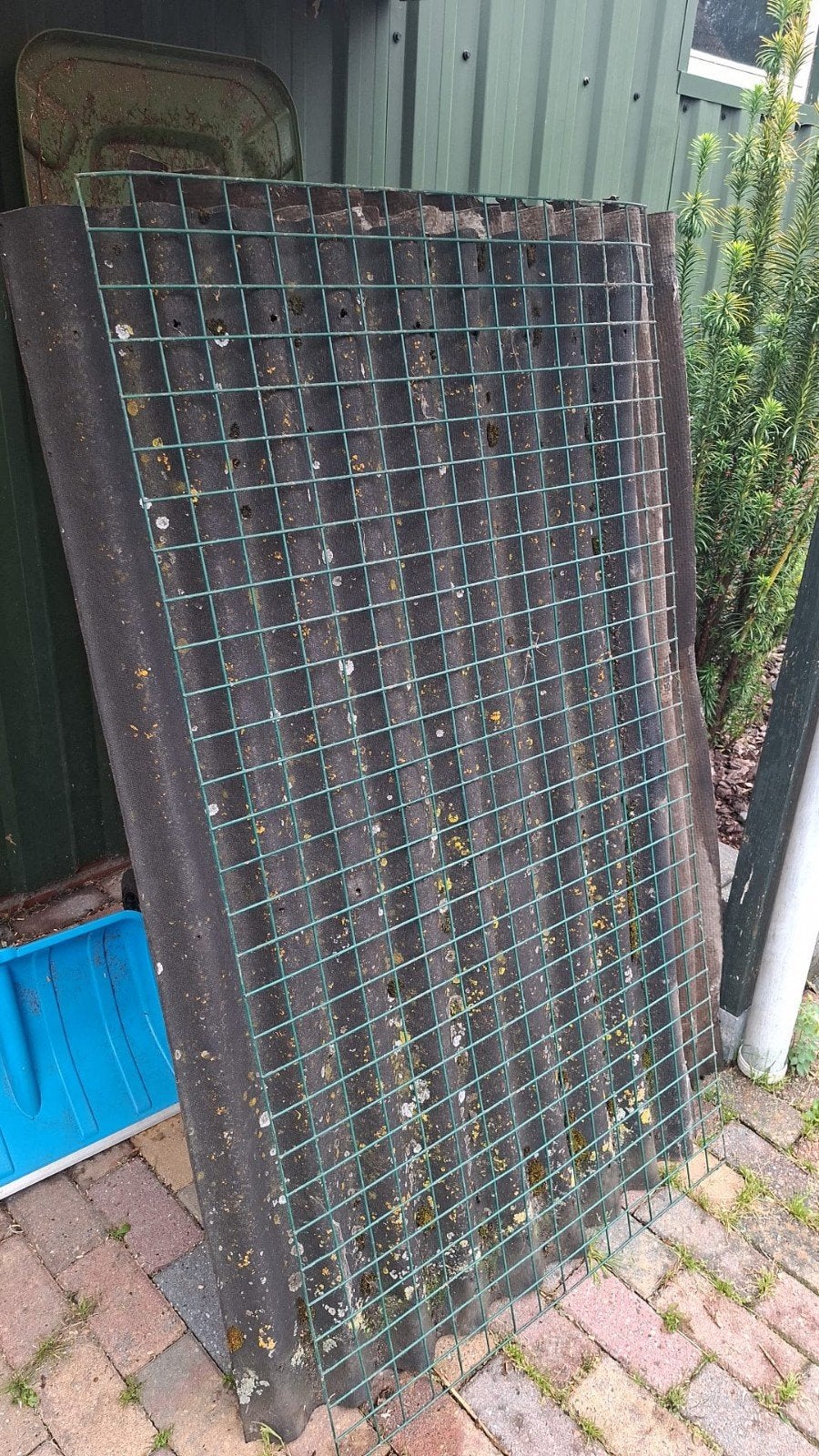 groen geplastificeerd gaas, Tuin en Terras, Ophalen of Verzenden, Minder dan 10 meter