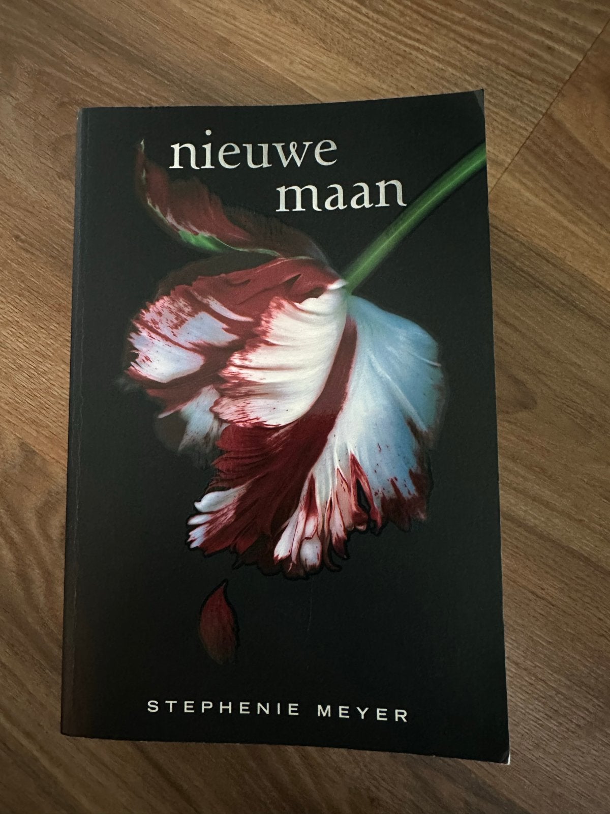 Nieuwe Maan - Stephenie Meyer (Twilight Saga), Verzenden, Zo goed als nieuw, Nederland