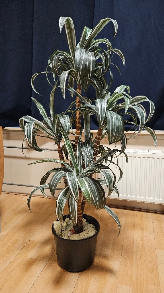 Dracaena kunstplant, Huis en Inrichting, Ophalen, Overige soorten, Halfschaduw, In pot