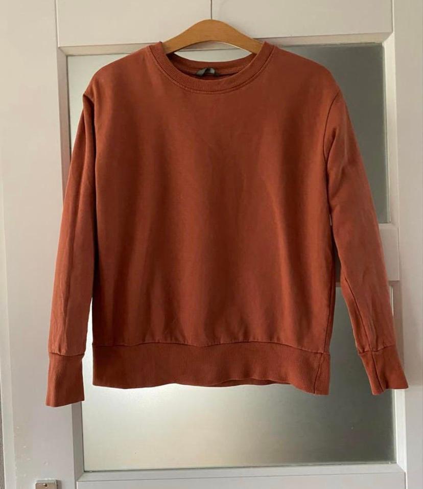 Mooie brique kleurige  sweater - Maat 38, Ophalen of Verzenden, Zo goed als nieuw, Maat 38/40 (M), Bruin