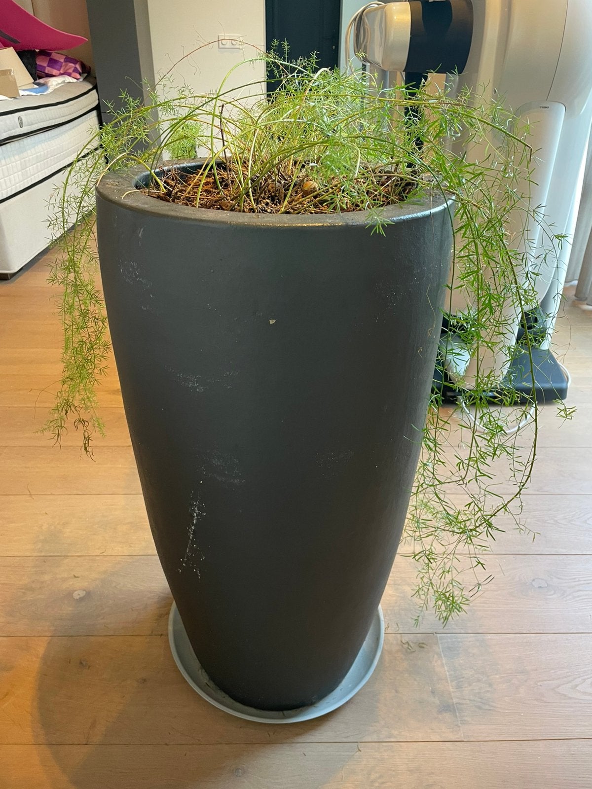 Plantenbak antreciet 90 hx50 massief viberclay, Ophalen, Rond, Zo goed als nieuw, 60 cm of meer