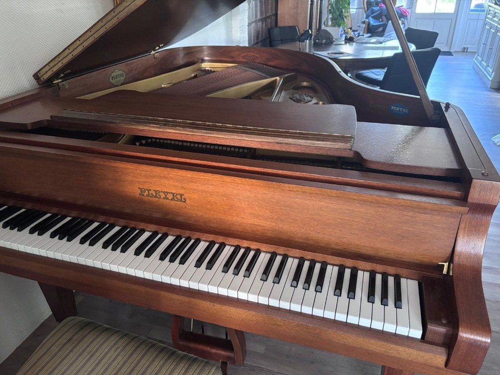Bijzondere Pleyel vleugel 174 cm - Schimmel periode, Muziek en Instrumenten, Piano's, Ophalen, Gebruikt, Bruin, Vleugel
