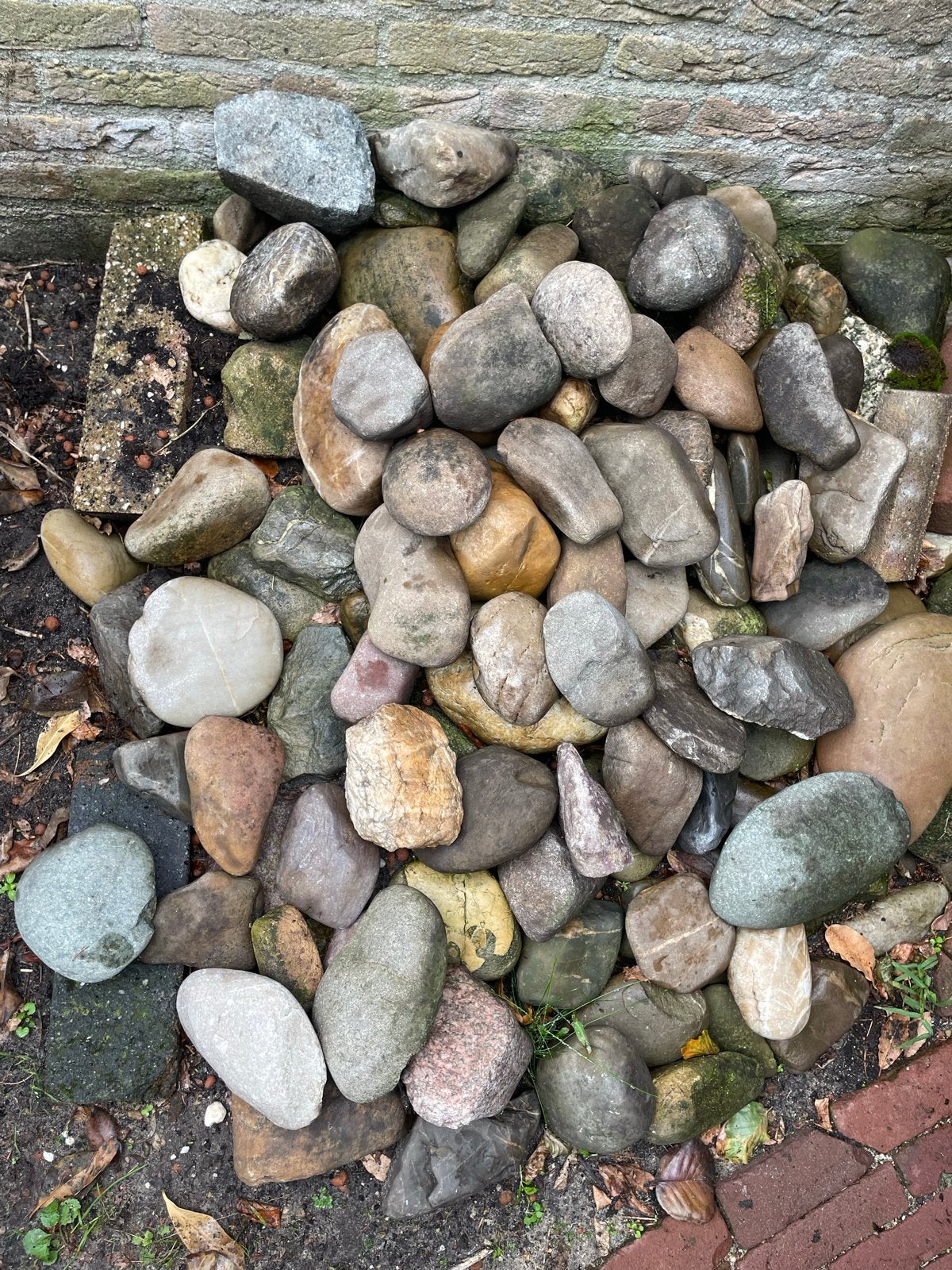 Diverse vijverstenen - Natuurlijke decoratie, Tuin en Terras, Ophalen, Gebruikt