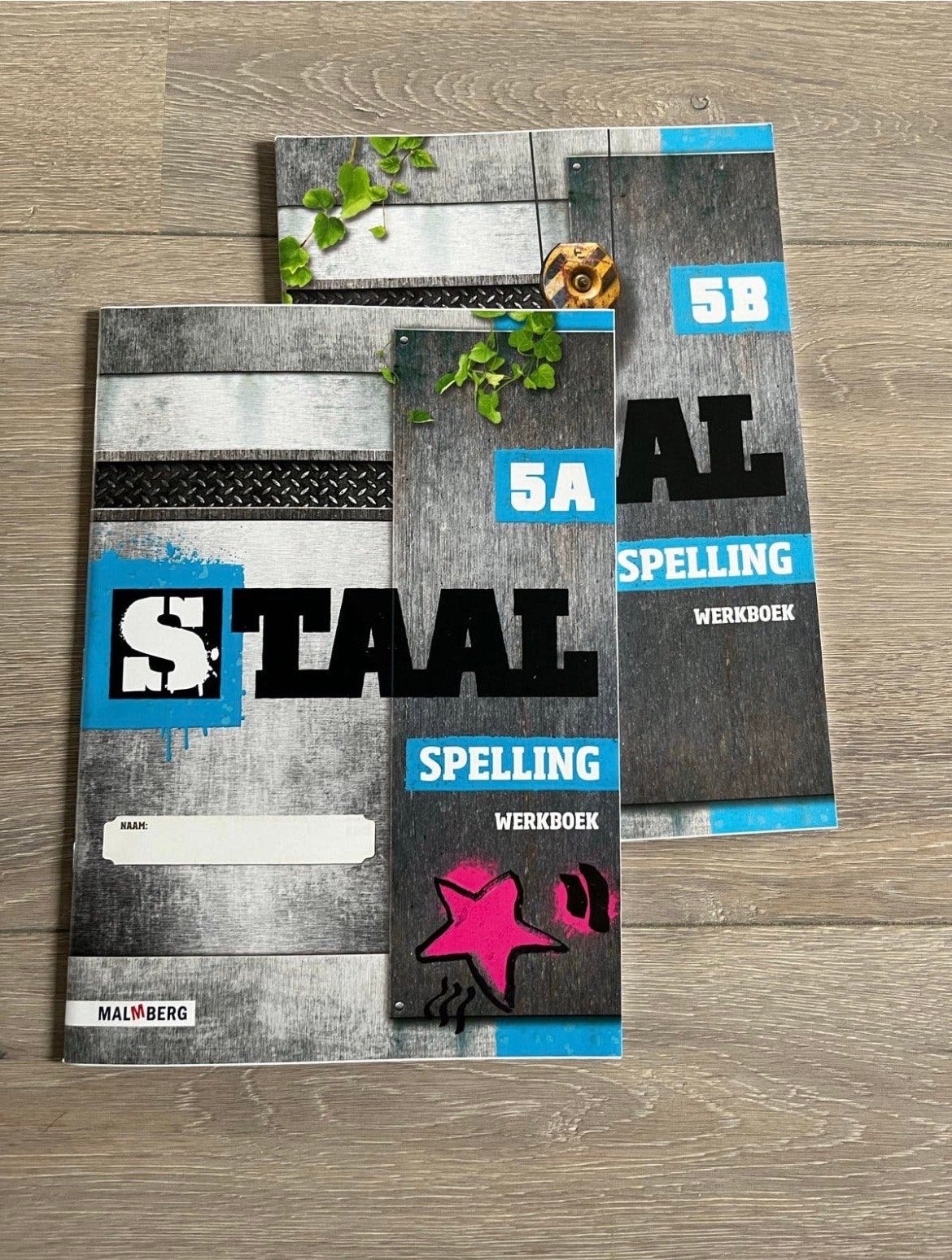 Staal spelling werkboeken groep 5 t/m 8, Ophalen of Verzenden, Zo goed als nieuw, Overige niveaus, Nederlands