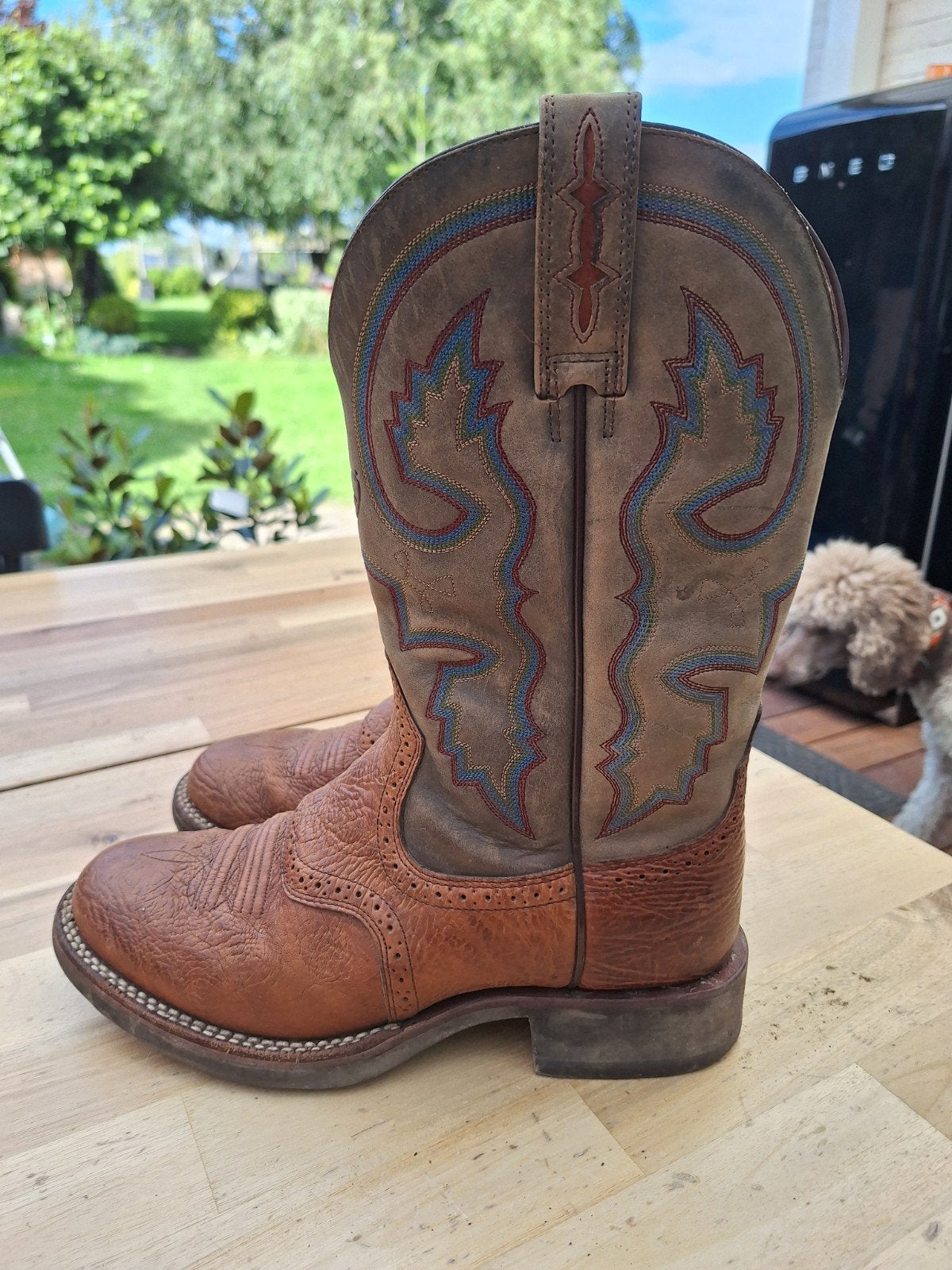 Ariat westernlaarzen maat 40,5, Dieren en Toebehoren, Paardrijkleding, Ophalen of Verzenden, Zo goed als nieuw, Western, Schoeisel