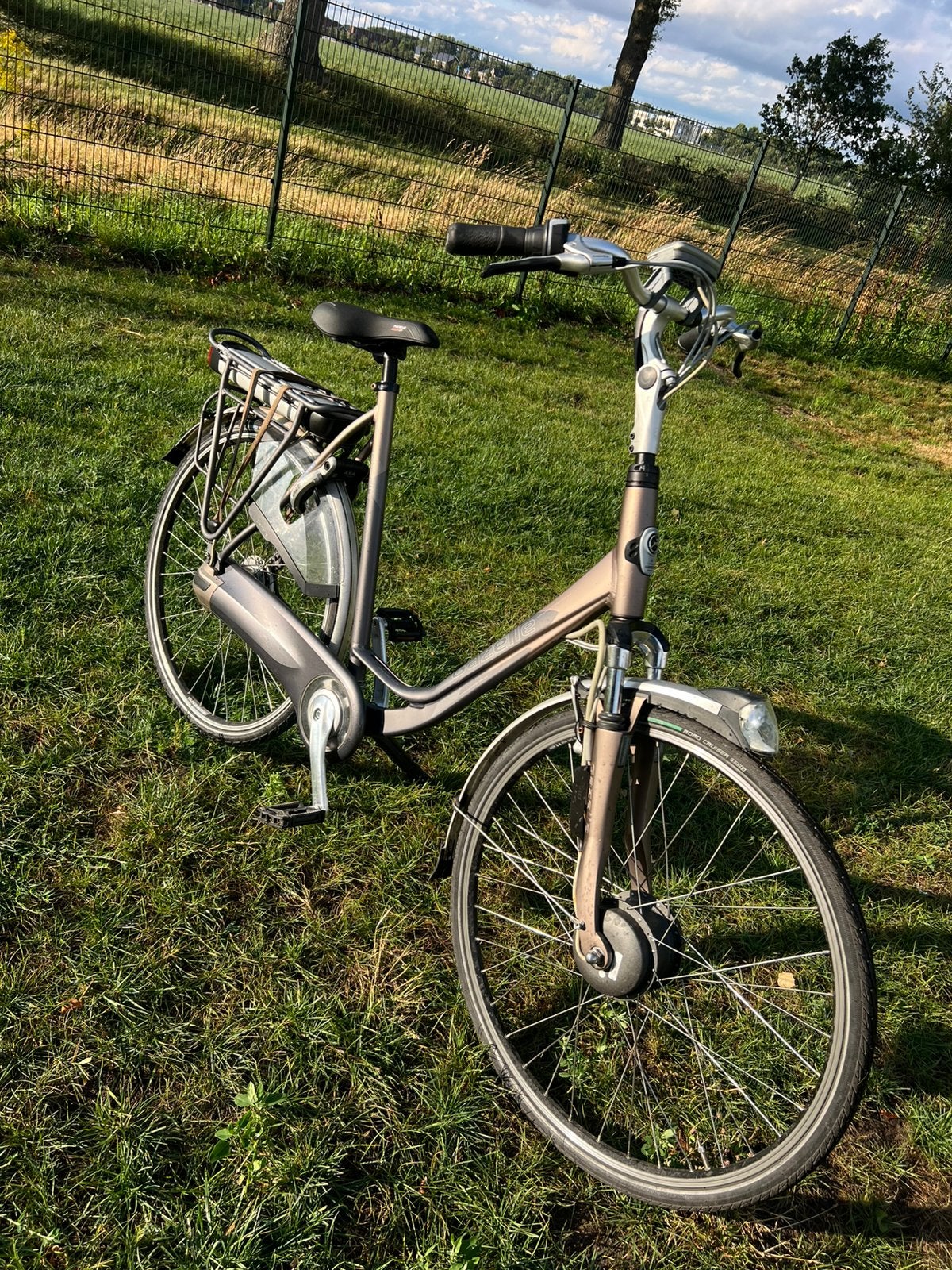 Electric fiets, Ophalen of Verzenden, Zo goed als nieuw