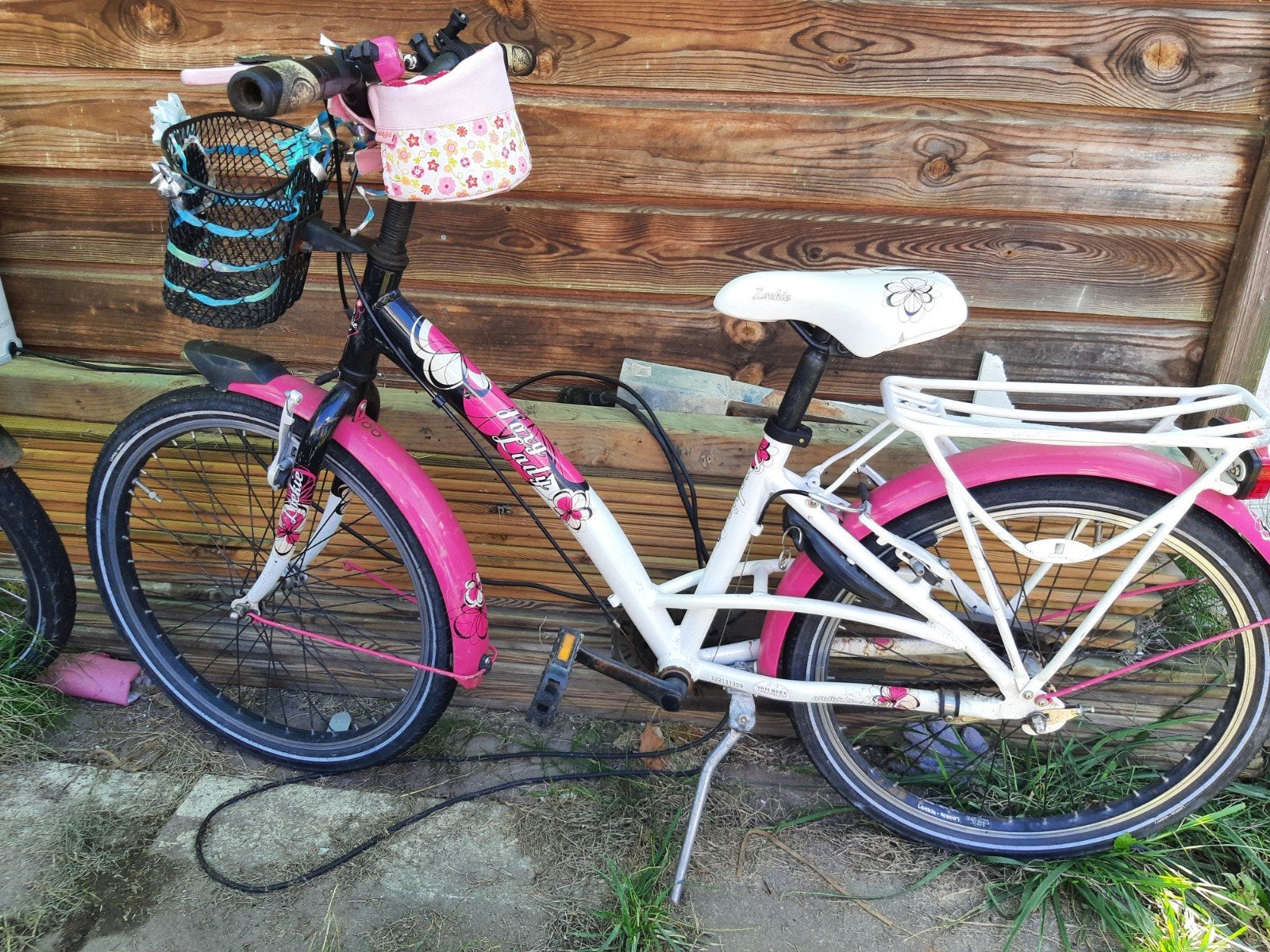 Loekie fiets 22 inch, Ophalen, Terugtraprem, 22 inch, Gebruikt