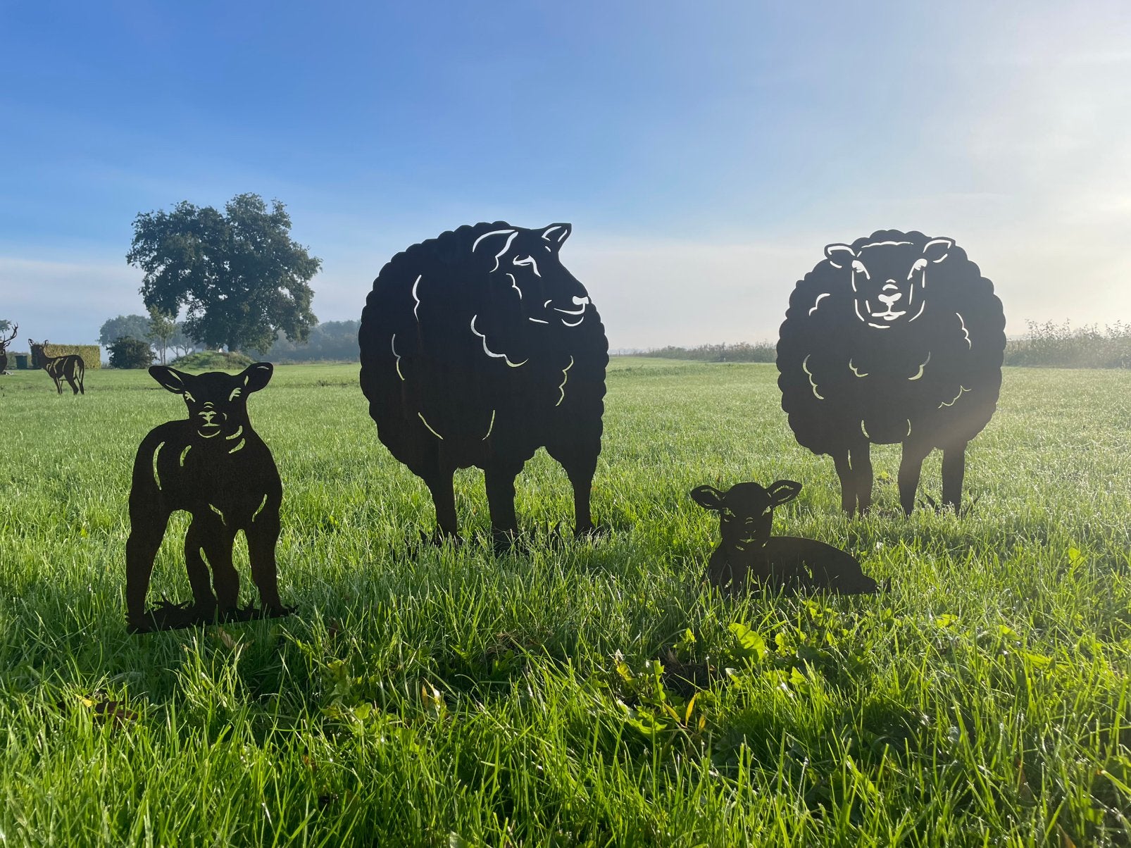Geef geef je tuin dé ultieme sfeermaker met cortenstaal!, Dierenbeeld, Mijn Staal, Nieuw, Ophalen of Verzenden