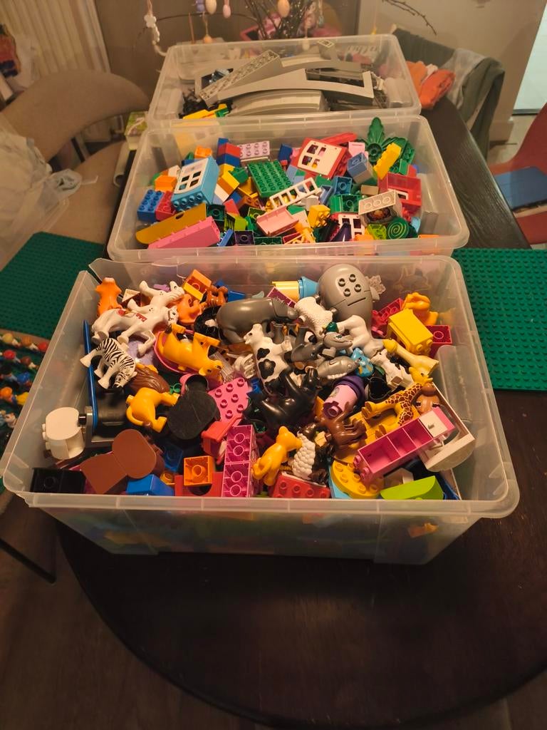 Grote partij Duplo met trein, dieren en figuren. Ruim 25kg., Kinderen en Baby's, Speelgoed | Duplo en Lego, Ophalen, Duplo