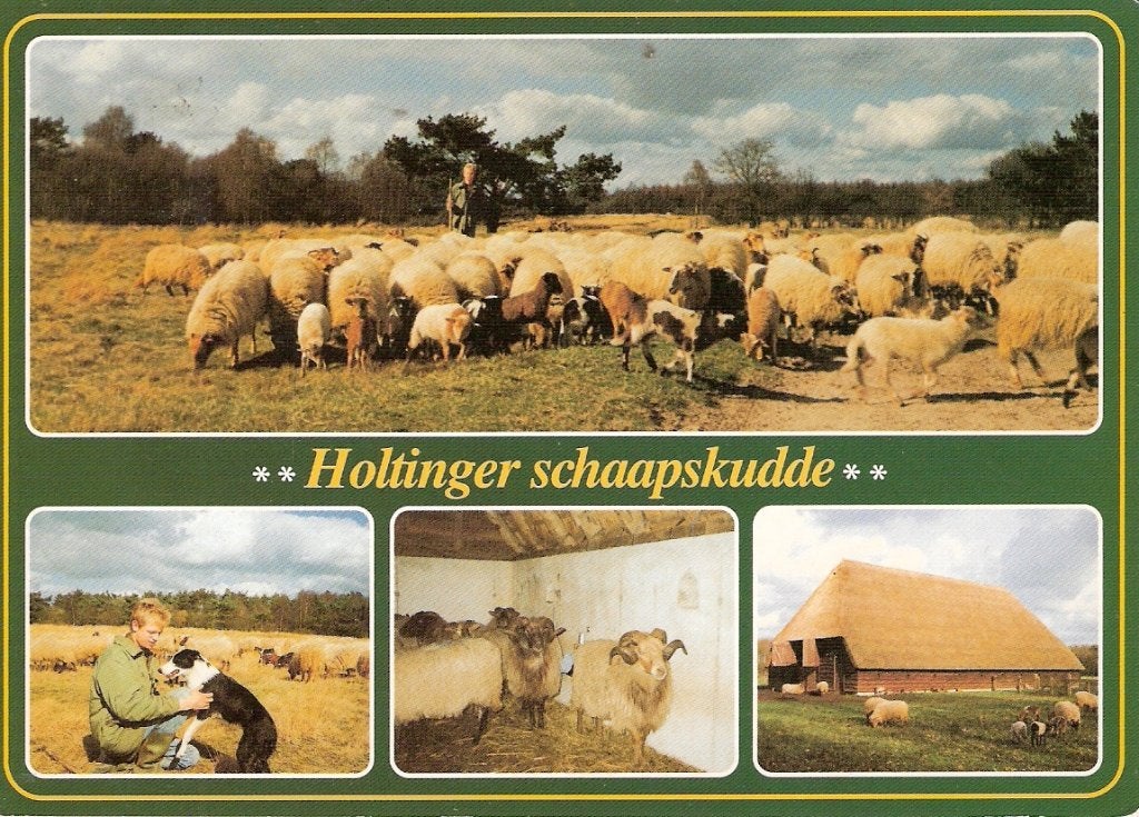 Uffelte                   245, Ophalen of Verzenden, Voor 1920