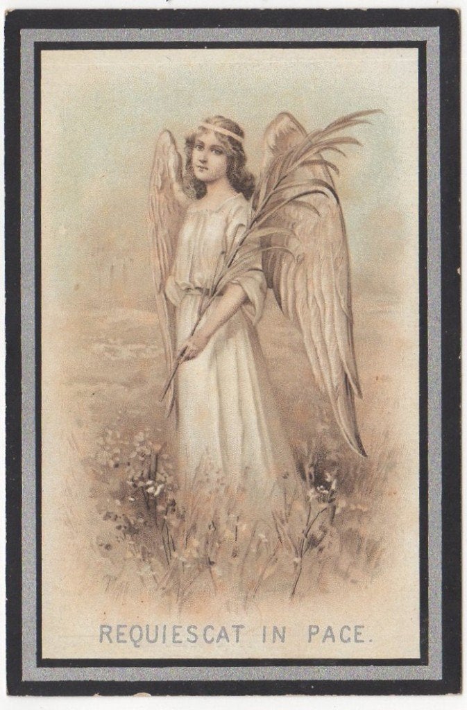 Louiza Sophia de Paauw 1899 Hoofdplaat + 1921 Vlissingen, Verzenden