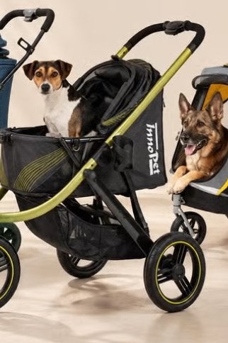 HONDEN BUGGY MET GROTE WIELEN GEVRAAGD, Ophalen, Gebruikt