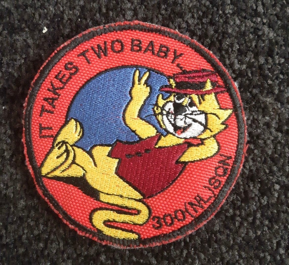 Gezocht : Deze van 300 SQUADRON, Ophalen of Verzenden, Luchtmacht, Nederland, Embleem of Badge