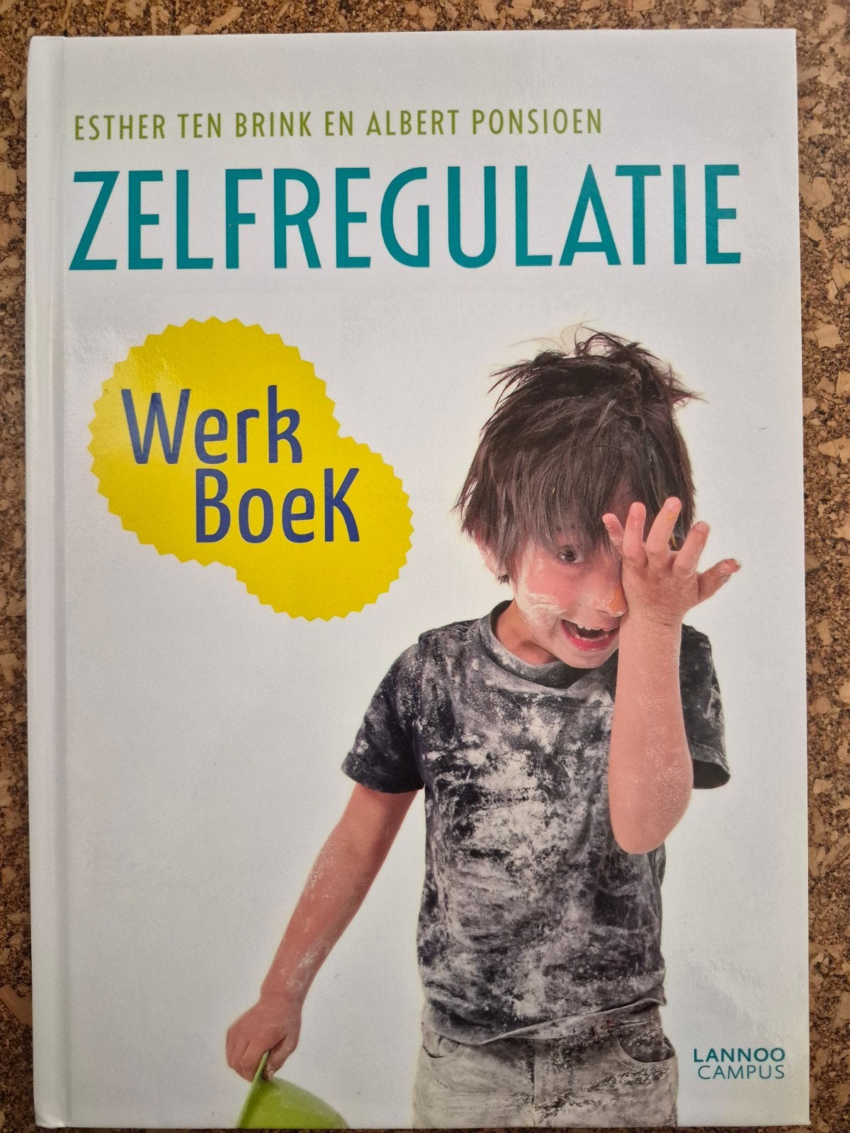 Esther ten Brink - werkboek, Sociale wetenschap, Ophalen of Verzenden, Esther ten Brink; Albert Ponsioen, Zo goed als nieuw