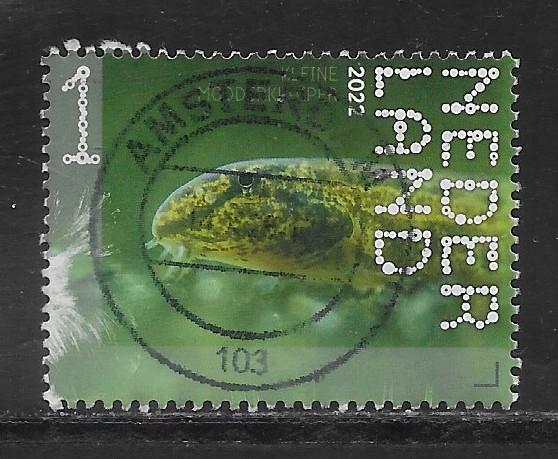 2022, Nieuwkoopse Plassen, Kl. Modderkruiper [4006] (K1502), Ophalen of Verzenden