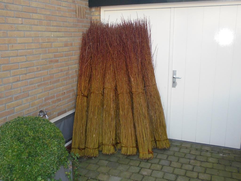 Knotwilgen stekken wilgenschuttingen vlechthout, Volle zon, Lente, Minder dan 100 cm, Overige soorten