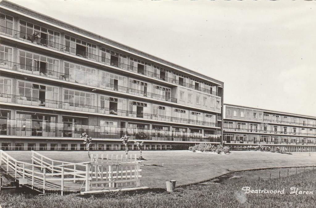 haren- beatrixoord, Ophalen of Verzenden, Voor 1920, Groningen