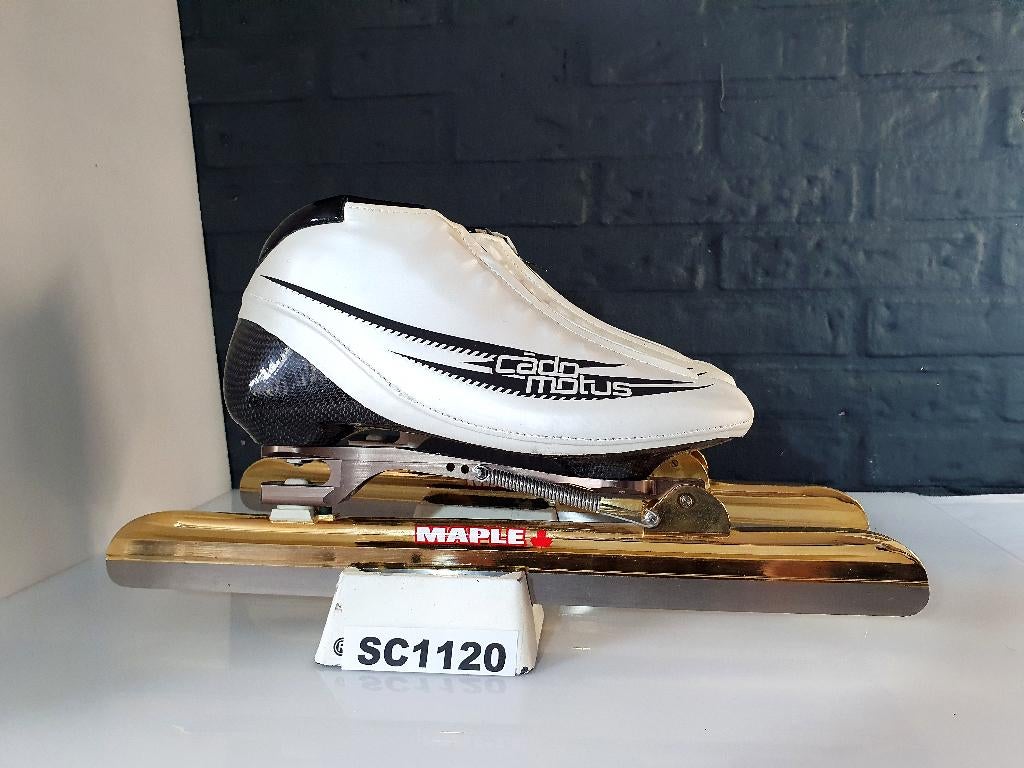 Cadomotus Bianco Maple Klapschaatsen Klap Schaatsen Maat 40, Klapschaats, Verzenden, Nieuw, Maple