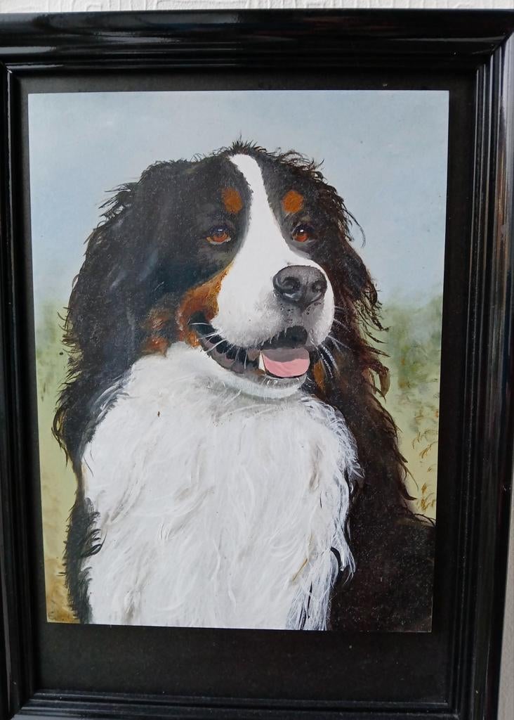 Hond Benner Senner., Antiek en Kunst, Kunst | Schilderijen | Klassiek, Ophalen of Verzenden
