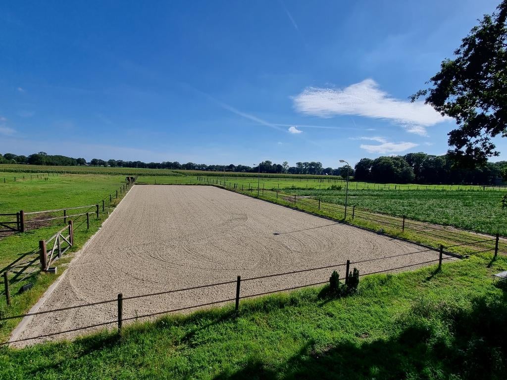 HEM GROEP Sportbodems paardenbak zand egaliseren polyvlokken