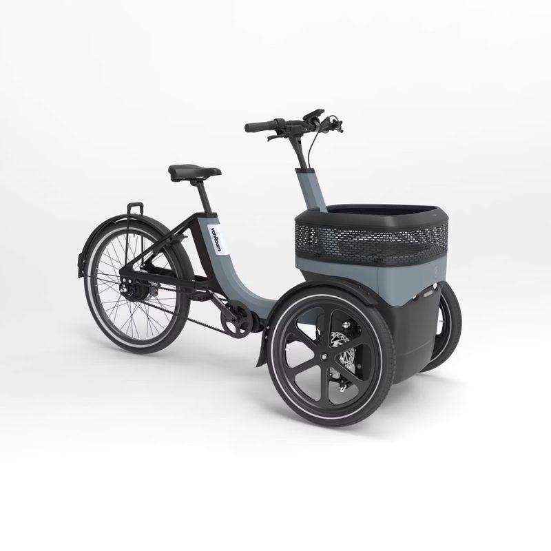 Van Raam THUJA Driewiel Fiets, Ophalen of Verzenden, Nieuw, Van Raam