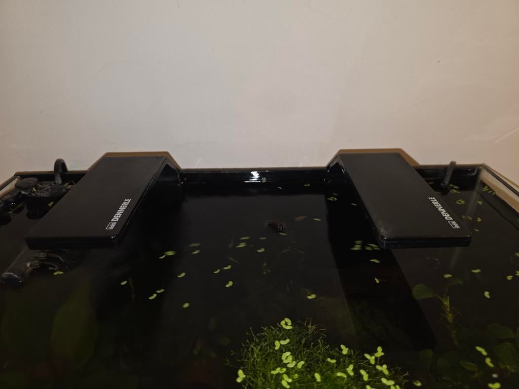 Dennerle Nano Style Led

2 stuks, Dieren en Toebehoren, Vissen | Aquariumvissen, Vis