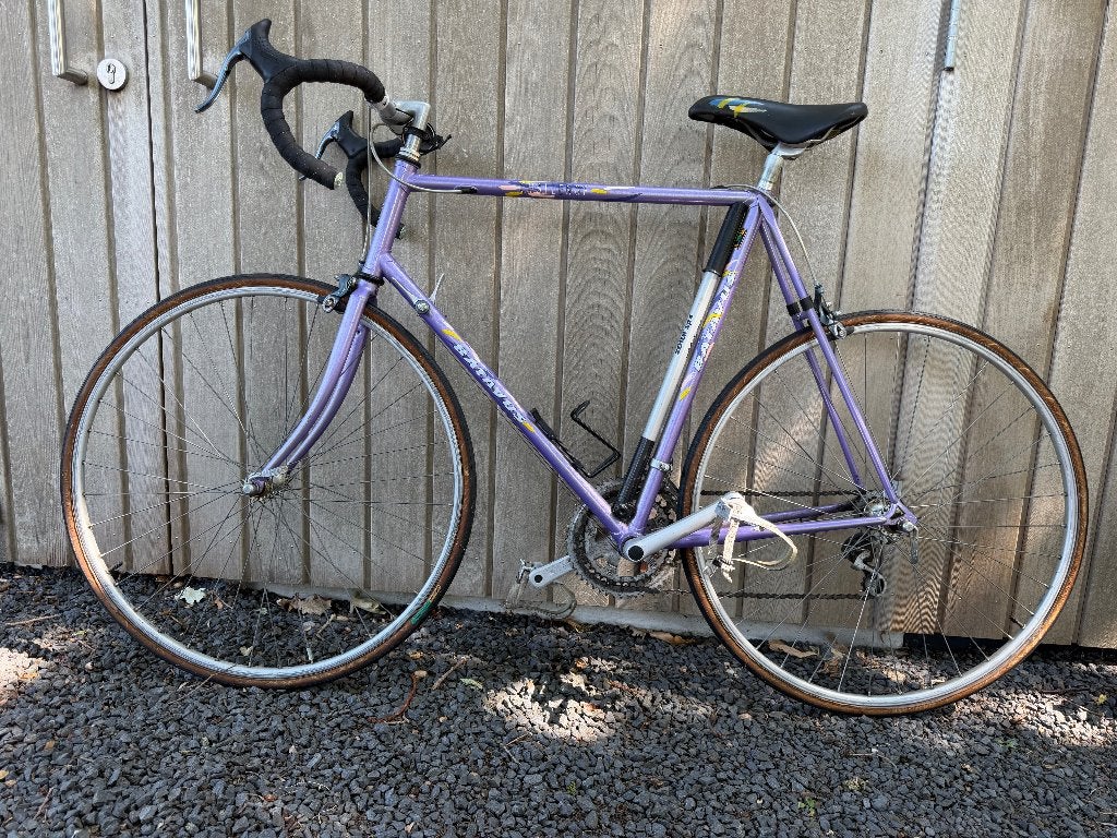 Vintage Batavus Challenge, Ophalen, 28 inch, Gebruikt, 10 tot 15 versnellingen