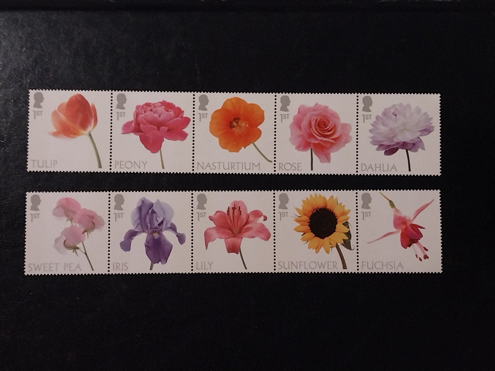 Engeland set bloemen 2023 postfris onder postprijs, Ophalen of Verzenden, Dier of Natuur
