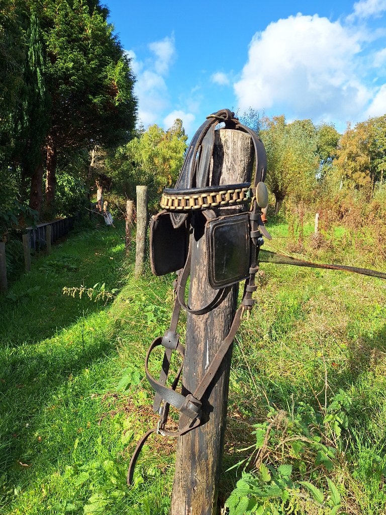 Menhoofdstel, voor elk leuk bod!!!, Ophalen of Verzenden, BR, Frontriem