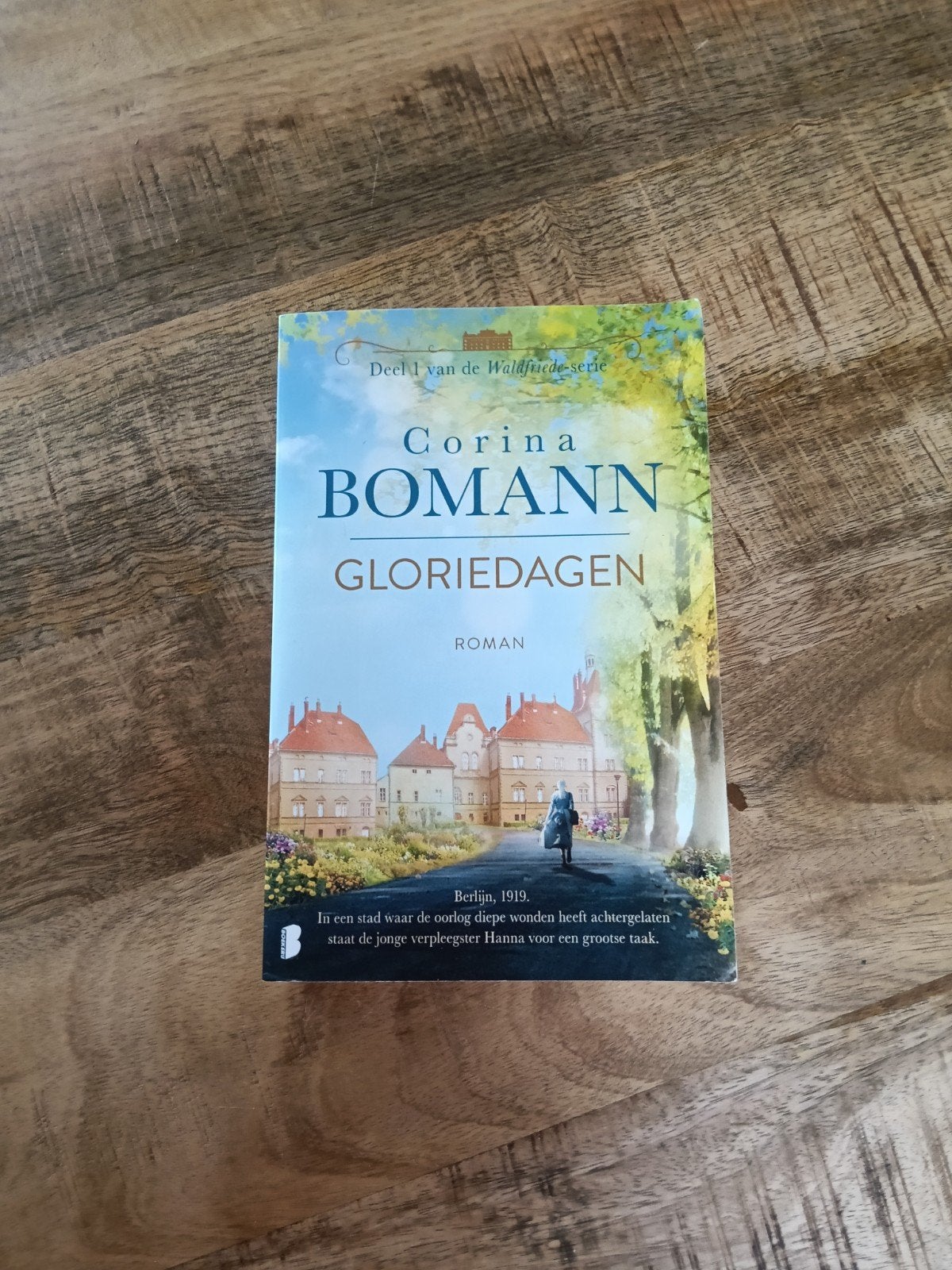 Corina Bomann - Gloriedagen (Deel 1 Waldfriede-serie), Boeken, Romans, Ophalen of Verzenden, Zo goed als nieuw, Corina Bomann