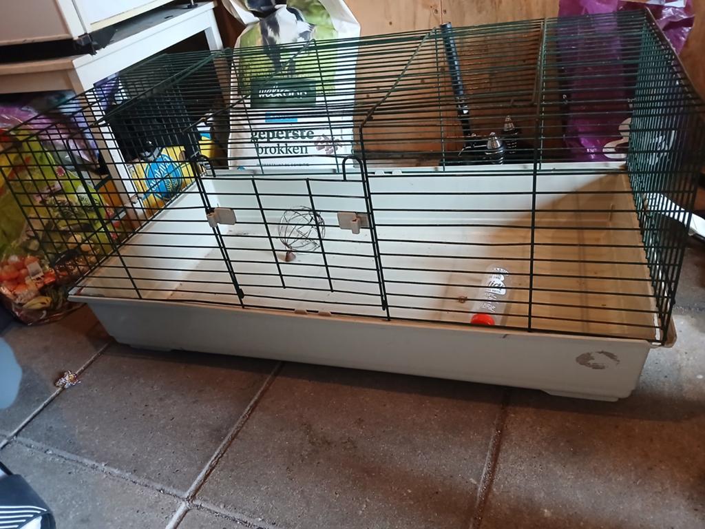 Knaagdieren kooi groot, Minder dan 60 cm, Gebruikt, Ophalen of Verzenden, 75 tot 110 cm