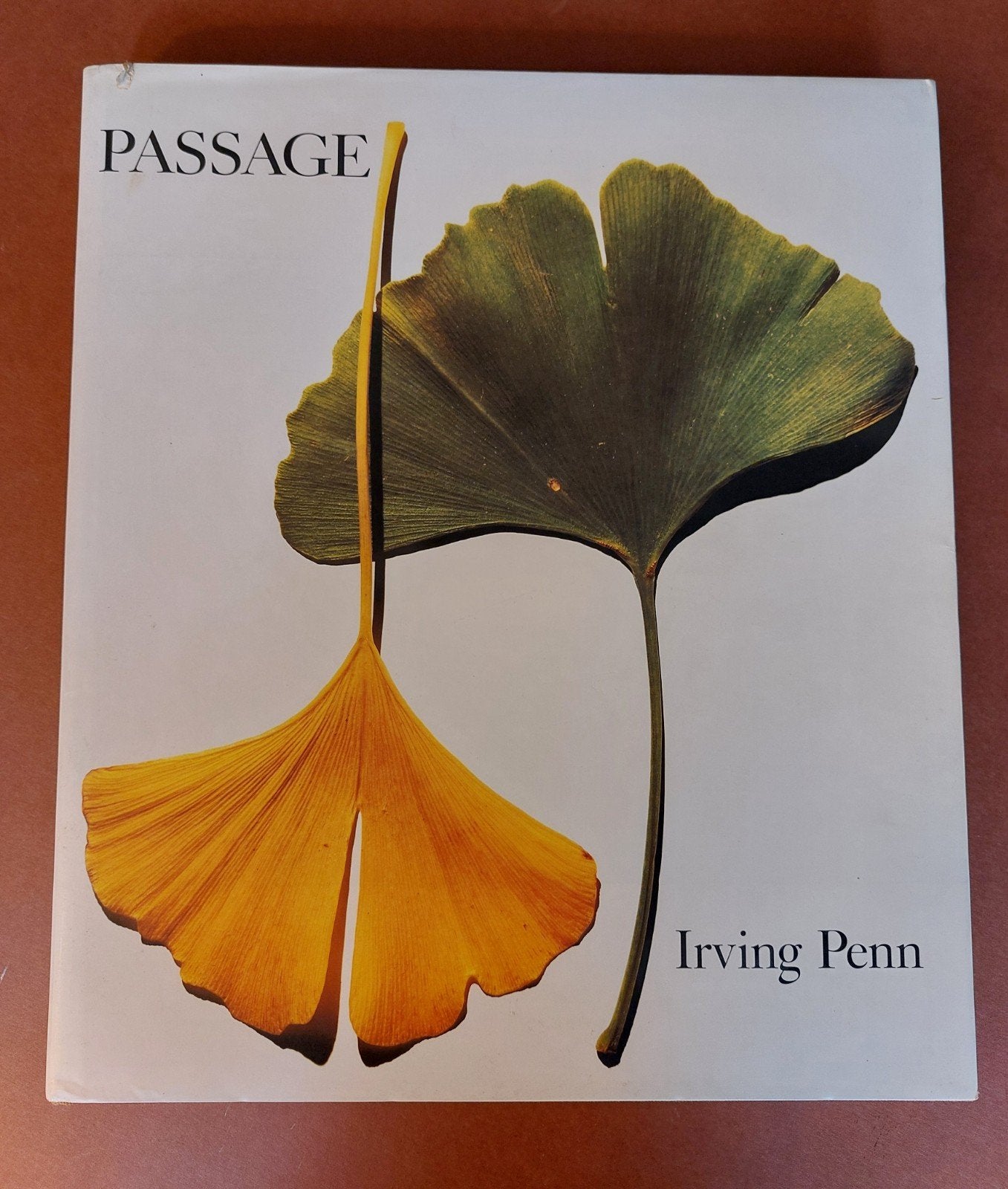 Passage - Irving Penn Fotografie Boek, Fotografie algemeen, Ophalen of Verzenden, Zo goed als nieuw, Irving Penn