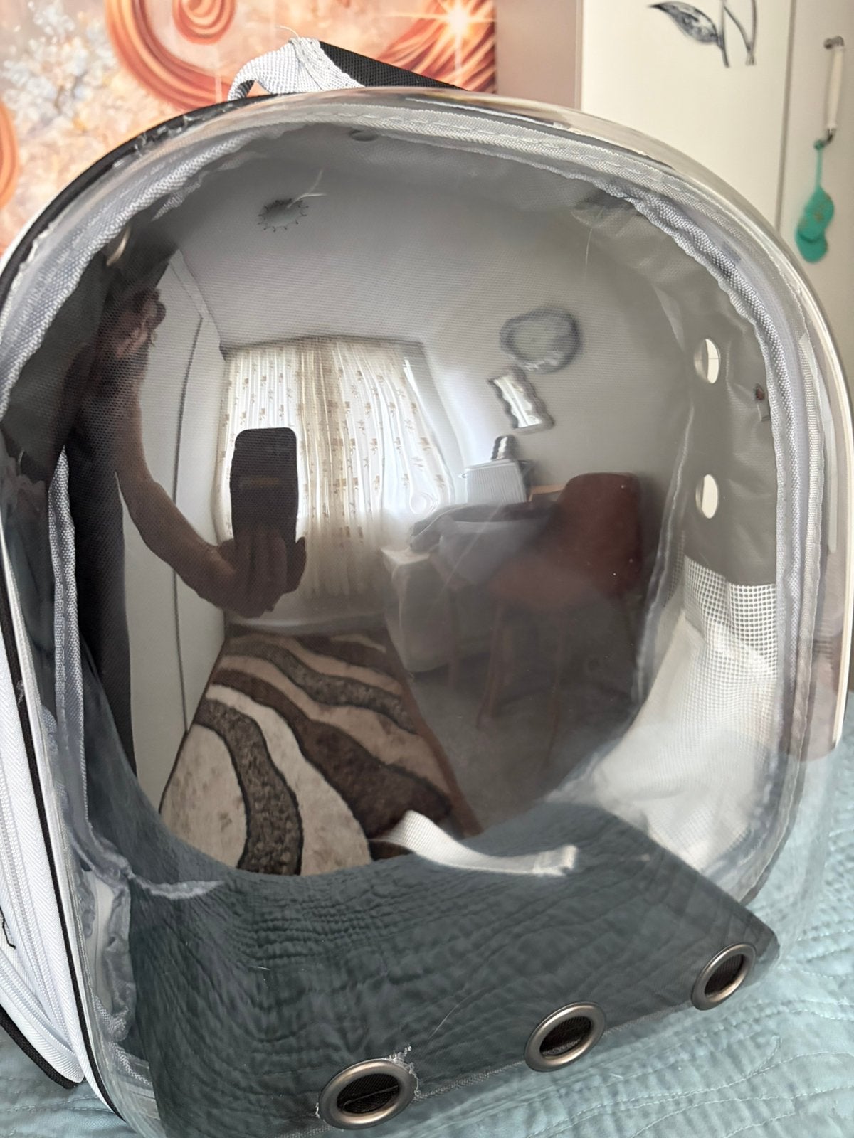 Te koop Katten Draagrugzak, Motoren, Kleding | Motorhelmen, Overige merken, Tweedehands, Ophalen