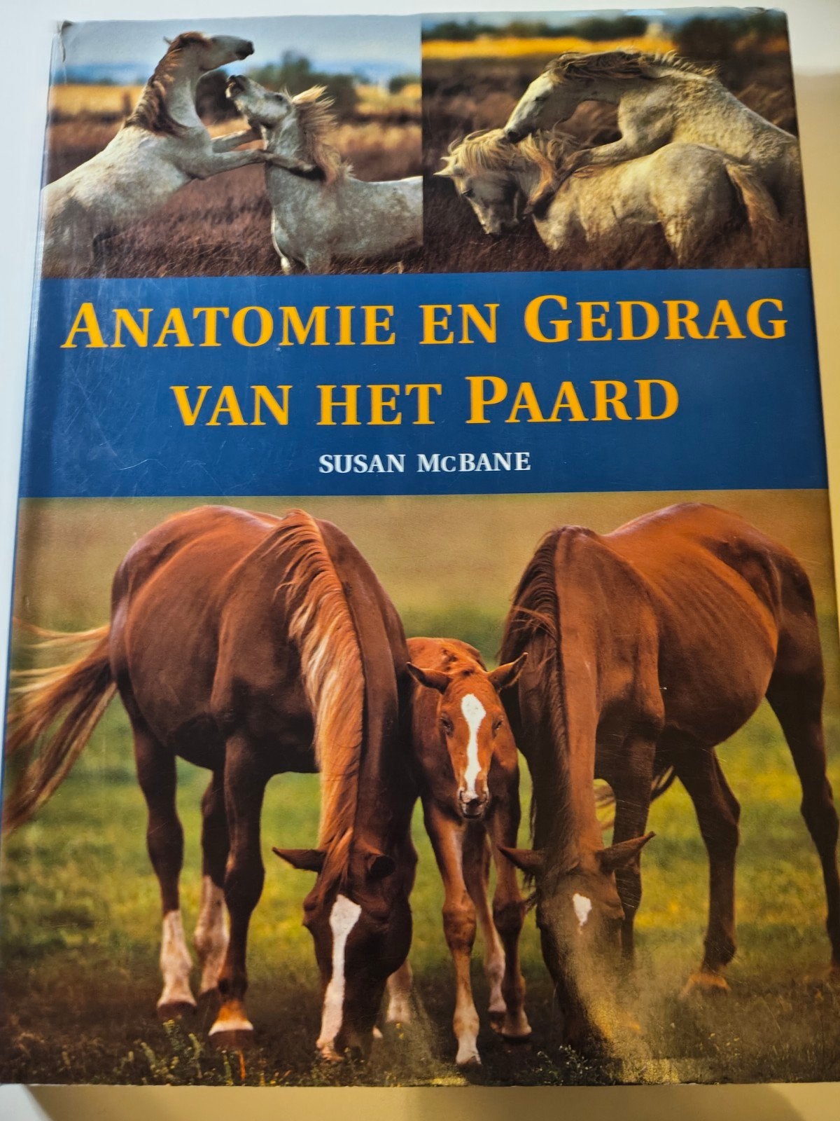 S. MacBane - Anatomie en gedrag van het paard, Boeken, Ophalen of Verzenden, Zo goed als nieuw, S. MacBane, Paarden of Pony's